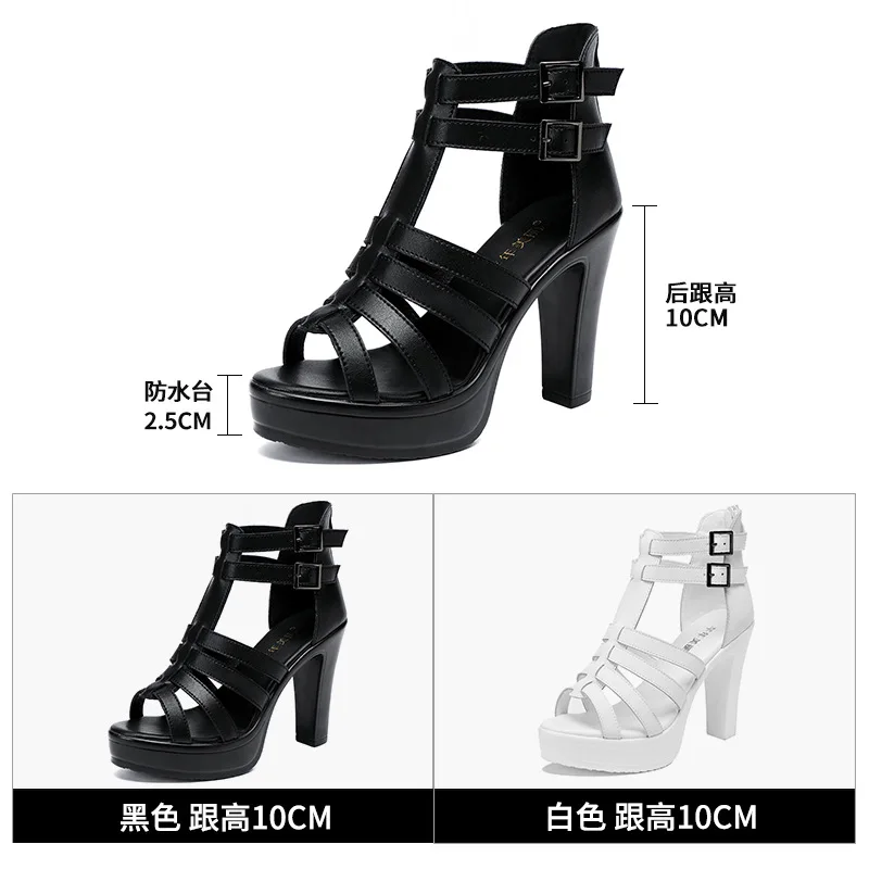 Gladiator Ladies Shoe for Wome - Summer Clothing On Sale recension och pris
